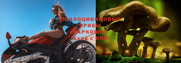 каннабис Алексеевка