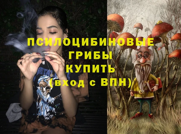 героин Алексин