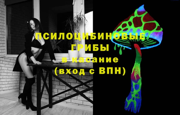 ПСИЛОЦИБИНОВЫЕ ГРИБЫ Алзамай